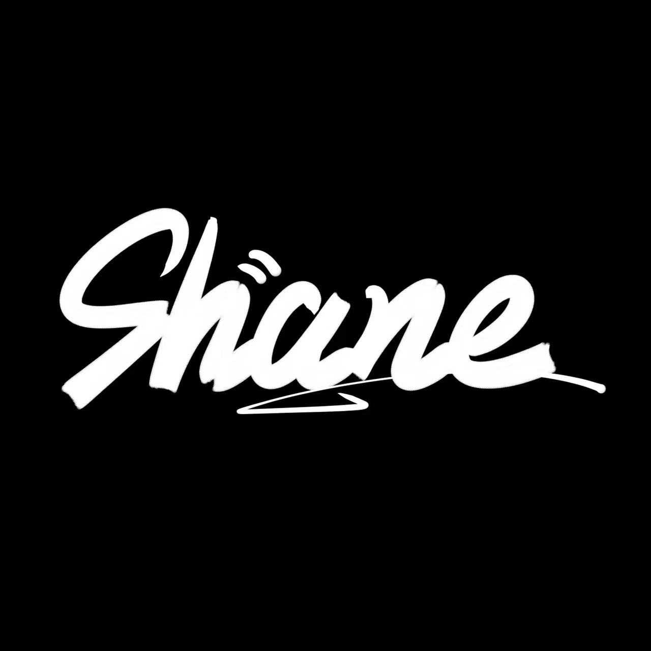 [2021.11.1] DJ SHANE越南飞翔Vinahouse思路